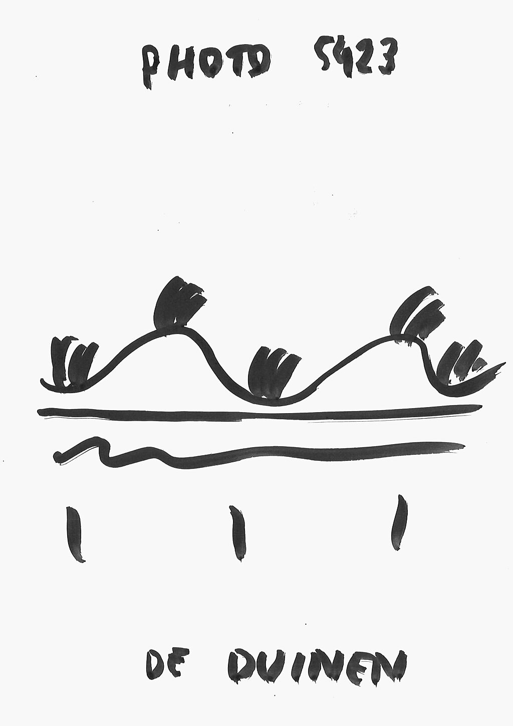 Scan 2019 11 21 20 16 21 17